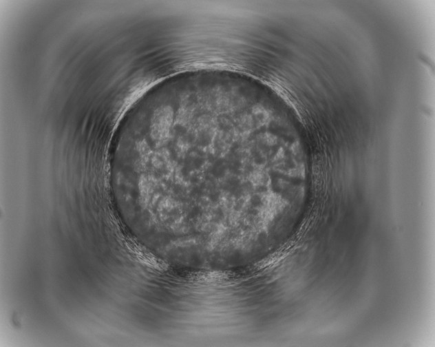 X0000096140879200802081346