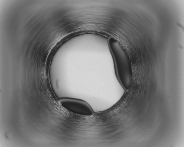 X0000096140880200802081346
