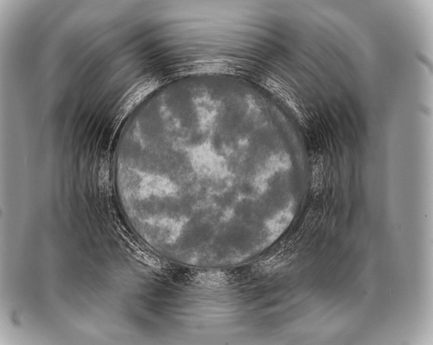 X0000096140882200802081346