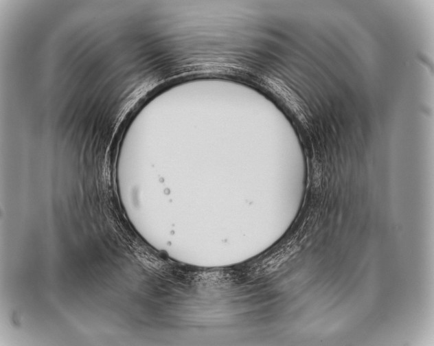X0000096140883200802081346