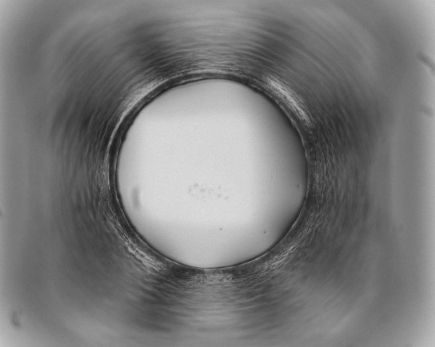 X0000096140884200802081346