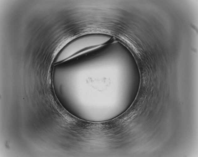 X0000096140885200802081346