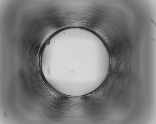 X0000096140886200802081346