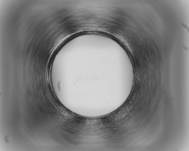 X0000096140887200802081346