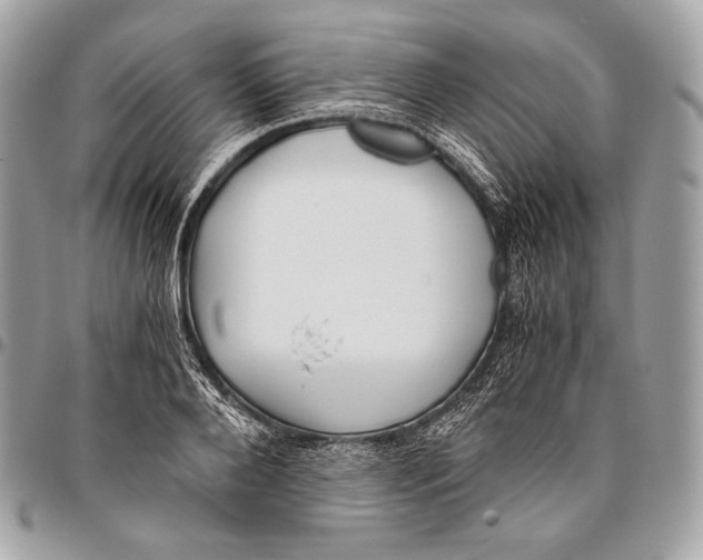 X0000096140888200802081346