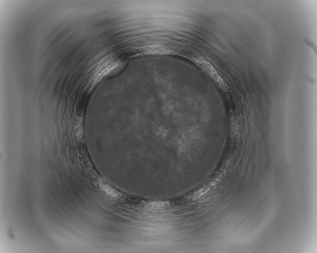 X0000096140889200802081346