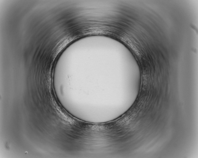 X0000096140890200802081346