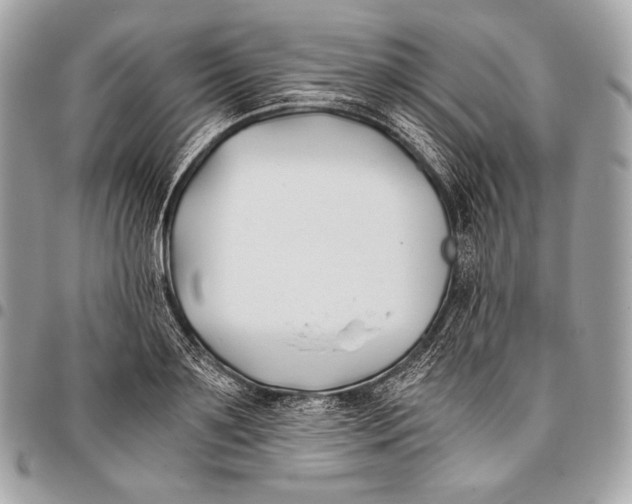 X0000096140891200802081346