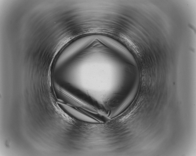 X0000096140892200802081345