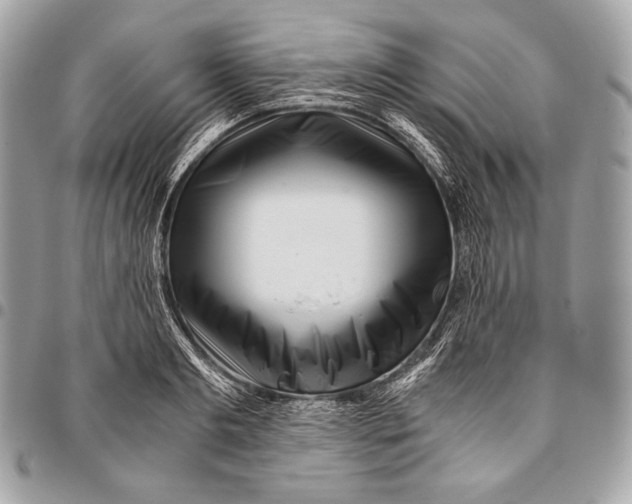 X0000096140893200802081345