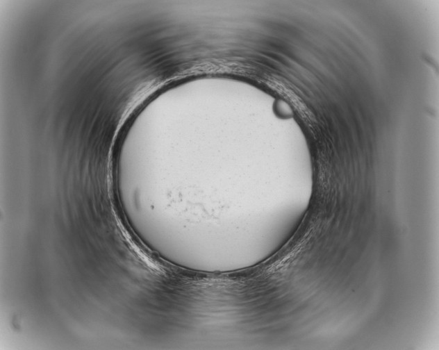 X0000096140894200802081345