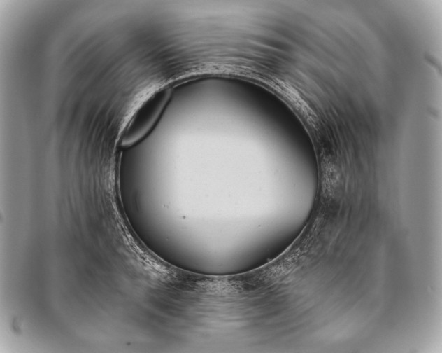 X0000096140896200802081345