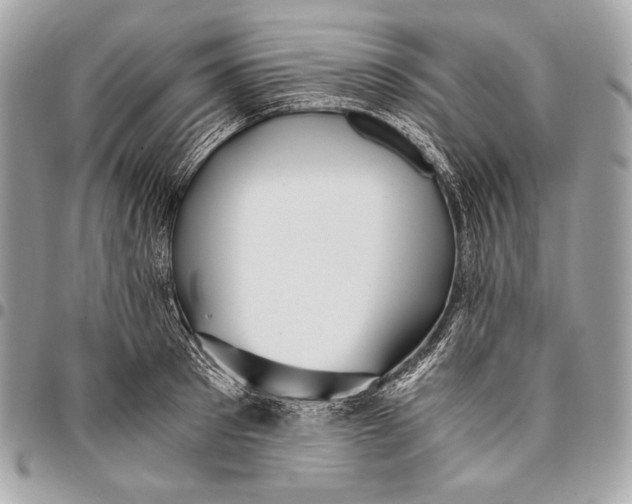 X0000096140897200802081345