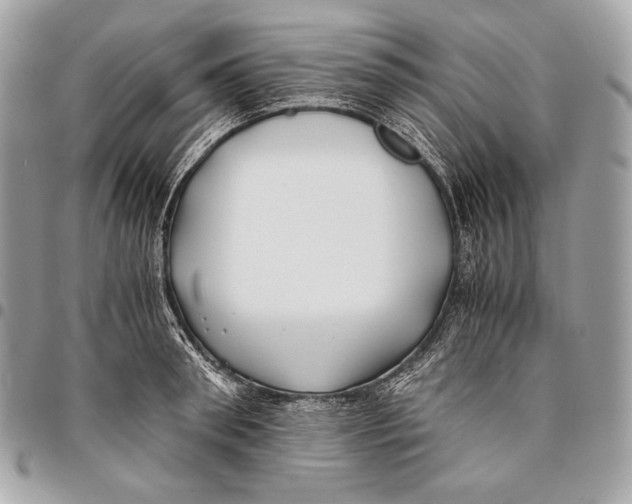 X0000096140898200802081345