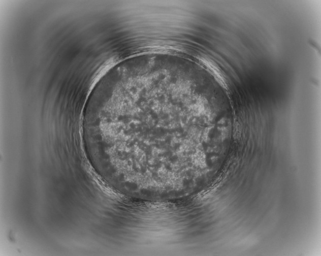 X0000096140899200802081345