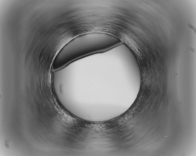 X0000096140900200802081345