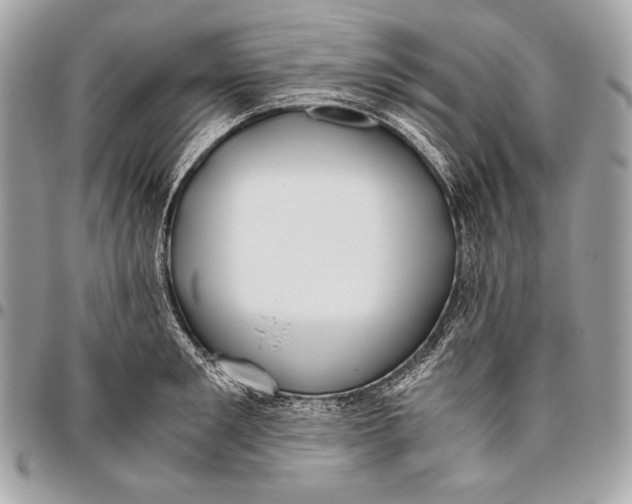 X0000096140901200802081345