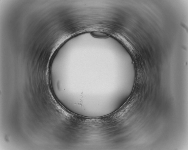 X0000096140902200802081345