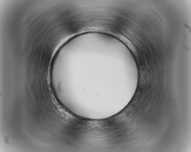 X0000096140904200802081345