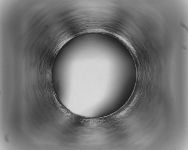 X0000096140905200802081345
