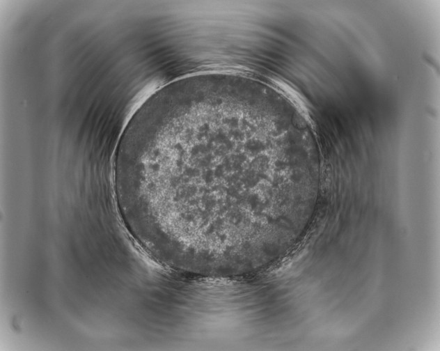 X0000096140907200802081345
