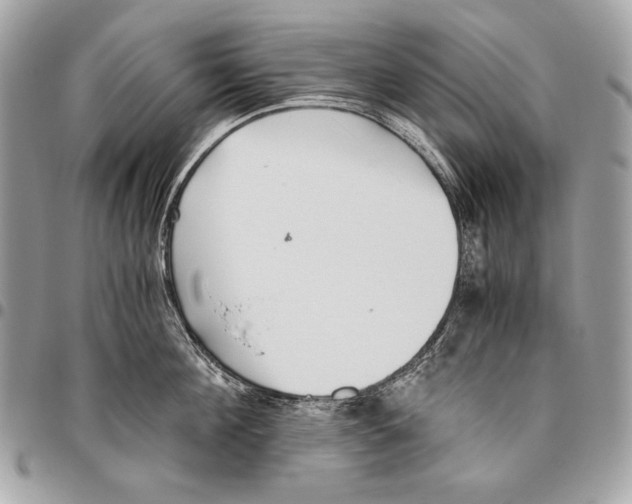 X0000096140908200802081345