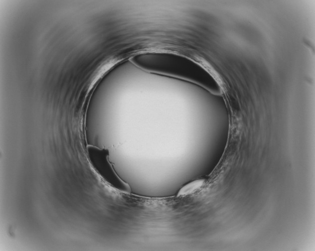 X0000096140909200802081345