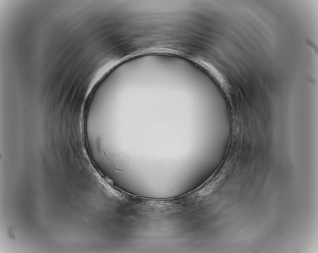 X0000096140910200802081345