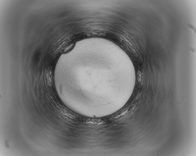 X0000096140915200802081344