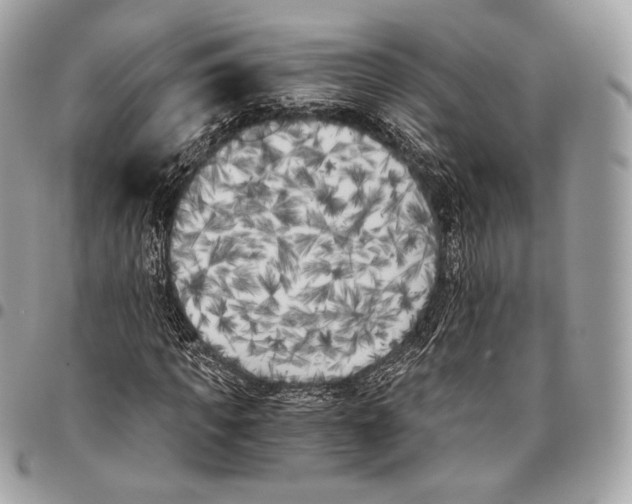 X0000096140917200802081344