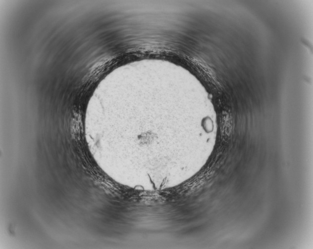 X0000096140918200802081344