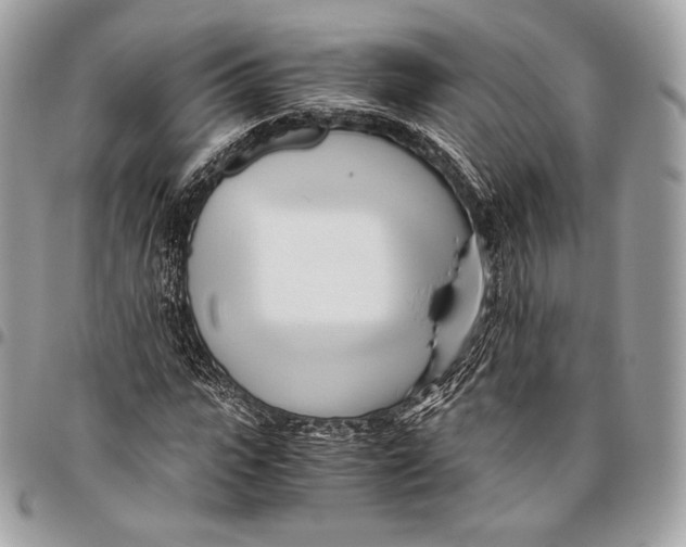 X0000096140919200802081344