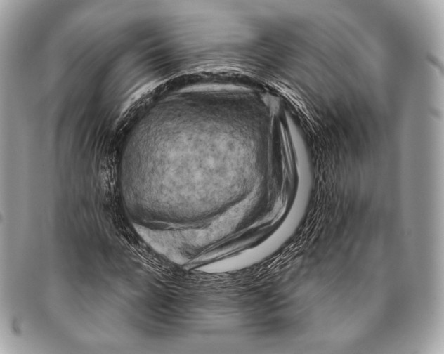 X0000096140920200802081344