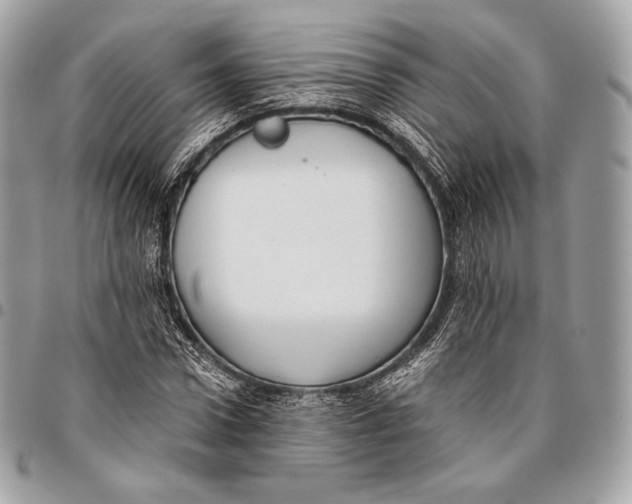 X0000096140922200802081345