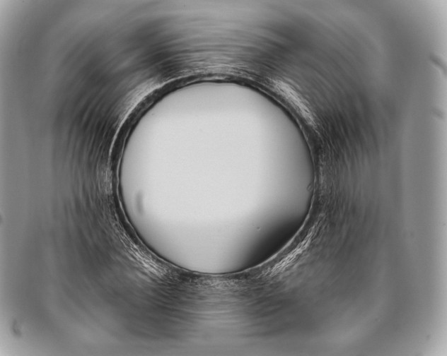 X0000096140924200802081345