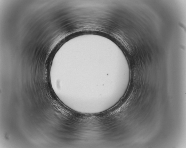 X0000096140926200802081345