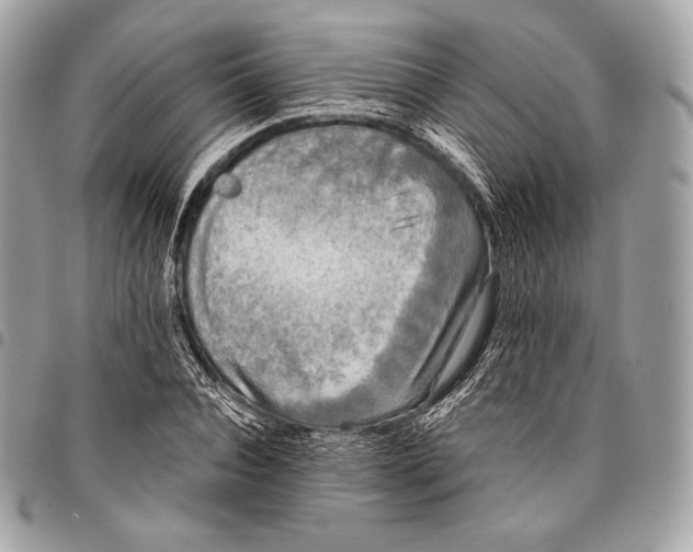 X0000096140928200802081345