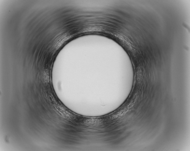 X0000096140929200802081345