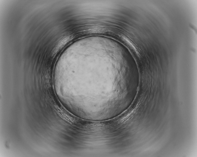 X0000096140930200802081345