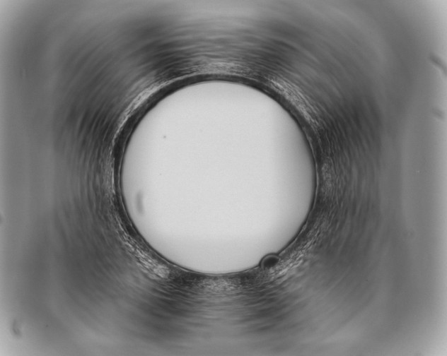 X0000096140931200802081345