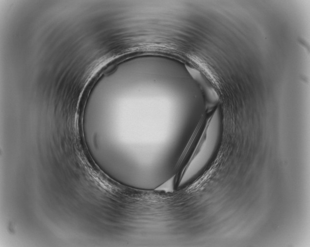 X0000096140932200802081345