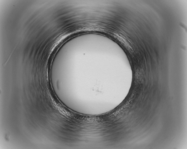 X0000096140934200802081345