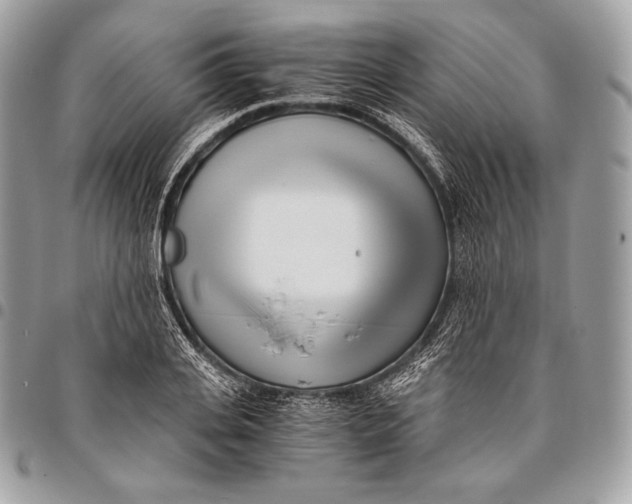 X0000096140935200802081345
