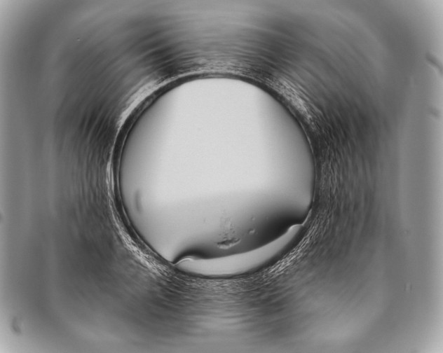 X0000096140936200802081345