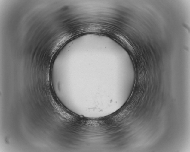 X0000096140938200802081345