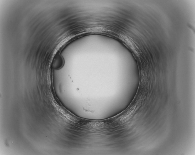 X0000096140939200802081345