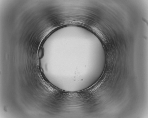 X0000096140940200802081345
