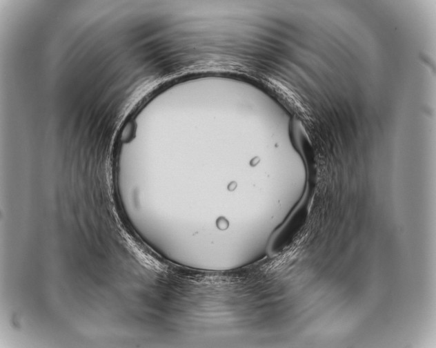 X0000096140942200802081345