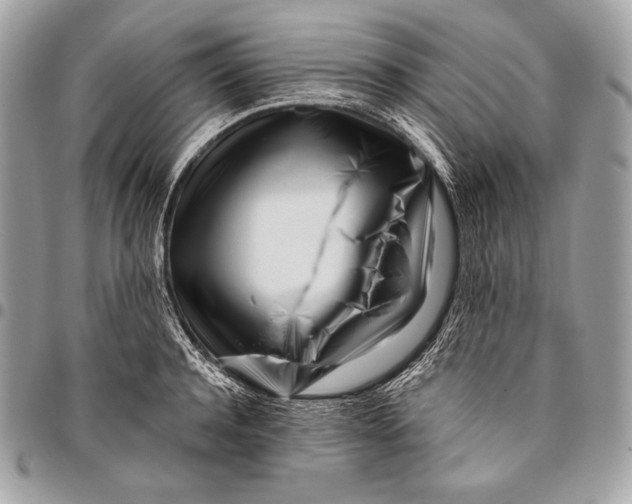 X0000096140944200802081345