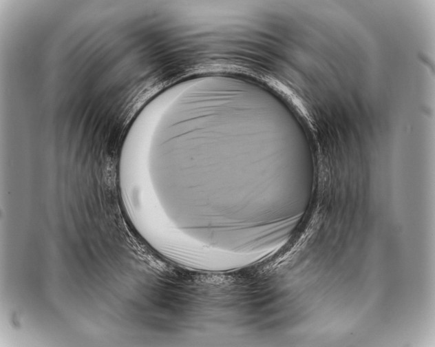X0000096140945200802081345